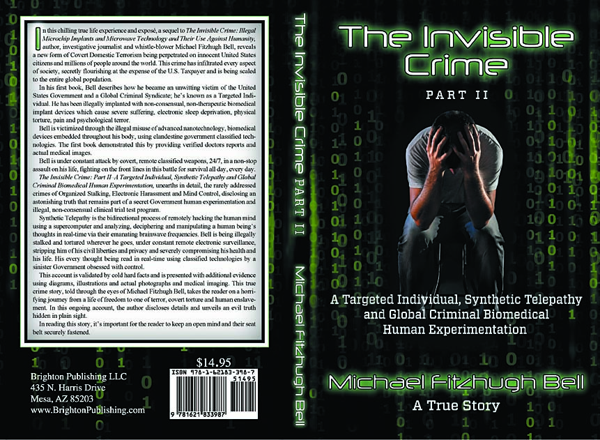 Book Cover Invisible Crime Part II